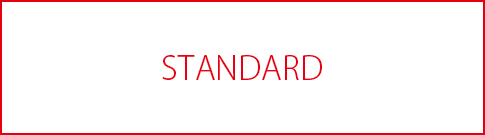 STANDARD_BAG'n'NOUN